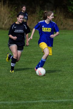Bild 195 - Frauen TSV Gnutz - SG S�lfeld/Oe/Se/Stu : Ergebnis: 2:3